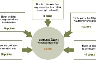 Schéma de l'index égalité 2020