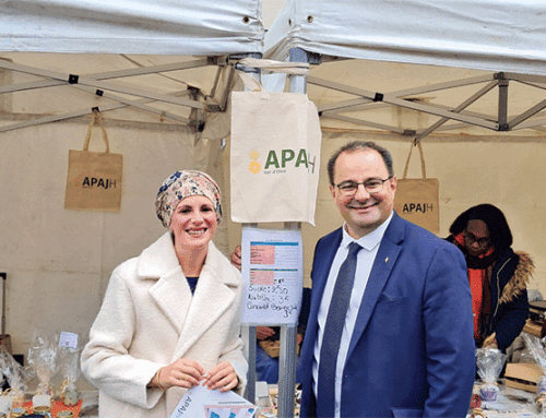 L’APAJH95 présente à la Foire de Domont