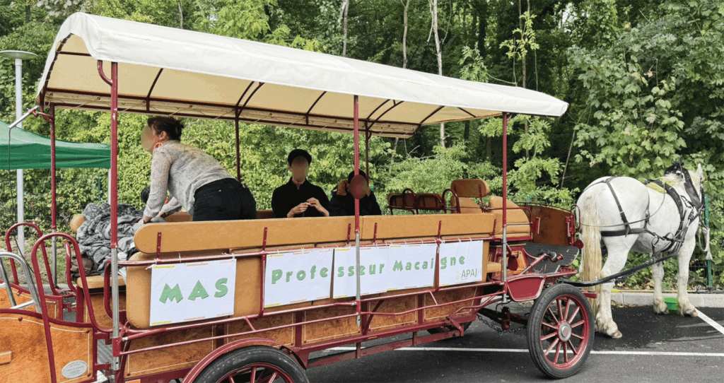 Mass de St Leu