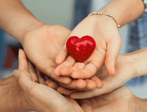 Soutiens et aides mobilisés après l’accident des grues sur l’IME Le Clos Fleuri