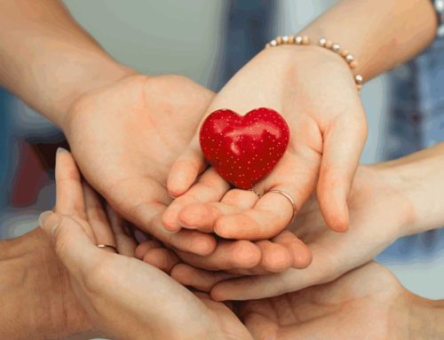 Soutiens et aides mobilisés après l’accident des grues sur l’IME Le Clos Fleuri